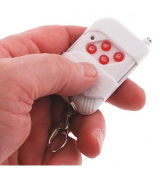 Fernbedienungen für WG Alarmsysteme