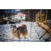 External A4 'Guard Dog on Premises' Warning Sign