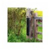 Comprehensive 2B-100 Wireless Perimeter Alarm, H/D GSM Auto-Dialler & Wireless Siren