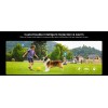 iW2 Wi-Fi (IP) CCTV Innenkamera