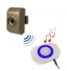 600 m drahtloser tragbarer Pager & batteriebetriebener Ruftaster