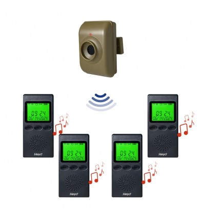600 m drahtloser tragbarer Pager & batteriebetriebener Ruftaster