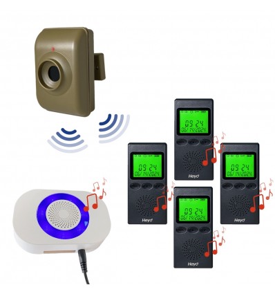 600 m drahtloser tragbarer Pager & batteriebetriebener Ruftaster