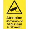 CCTV Außenkamera-Attrappe (DC21)