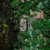 MMS CCTV Battery Recording Camera with Solar Charger